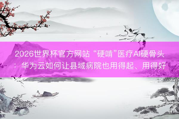 2026世界杯官方网站 “硬啃”医疗AI硬骨头：华为云如何让县域病院也用得起、用得好