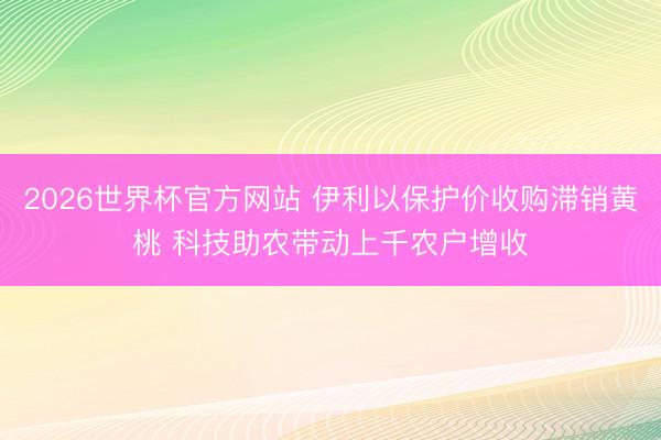 2026世界杯官方网站 伊利以保护价收购滞销黄桃 科技助农带动上千农户增收