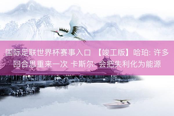 国际足联世界杯赛事入口 【竣工版】哈珀: 许多回合思重来一次 卡斯尔: 会把失利化为能源