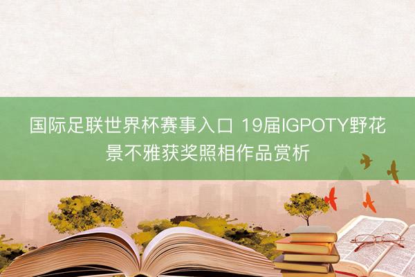 国际足联世界杯赛事入口 19届IGPOTY野花景不雅获奖照相作品赏析